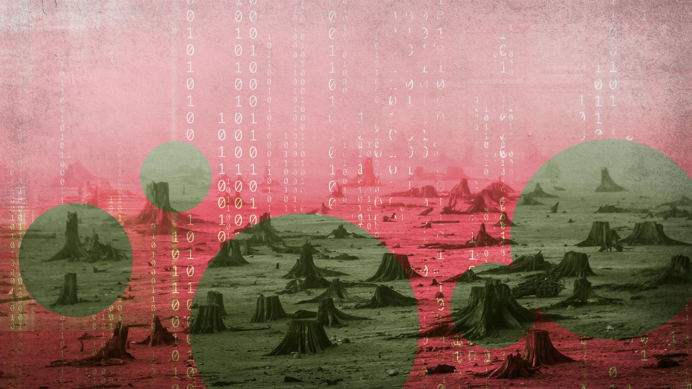 Digitization Beats Deforestation